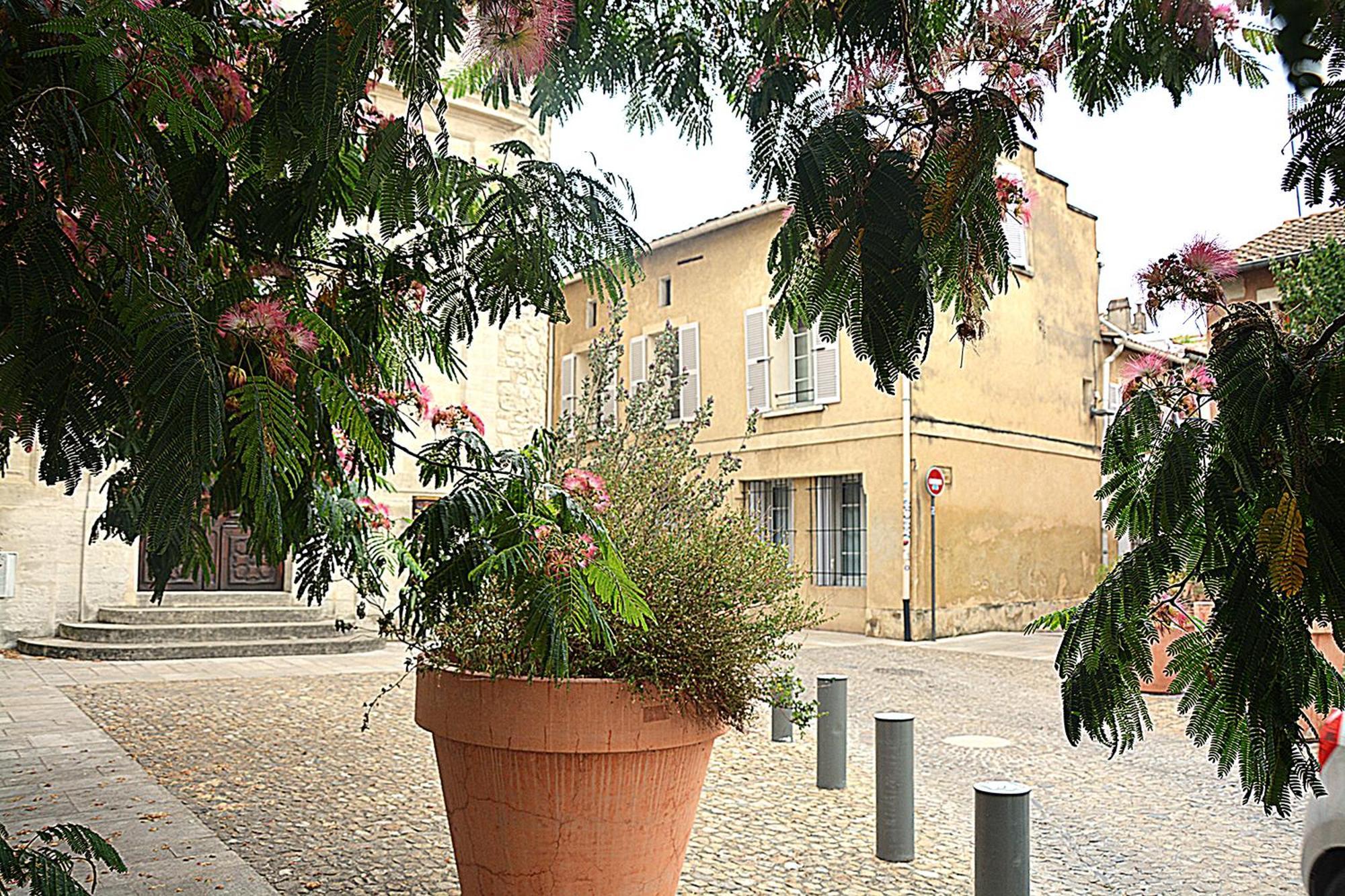 Maison Rascas - Centre Historique - Air Conditioning- Wifi Avignon Bagian luar foto